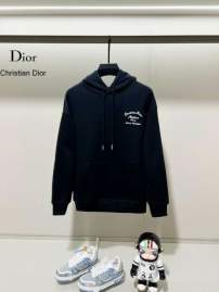 Picture of Dior Hoodies _SKUDiorXS-L24cr912695
